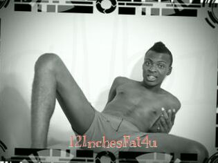 12InchesFat4u