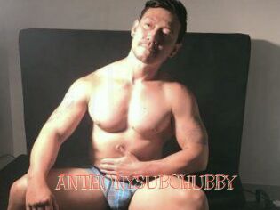 ANTHONYSUBCHUBBY