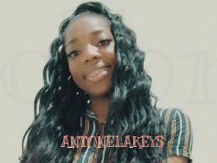 ANTONELAKEYS