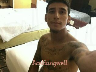 AceHungwell Celebrix
