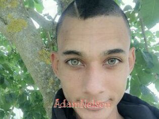 Adam_Nelson
