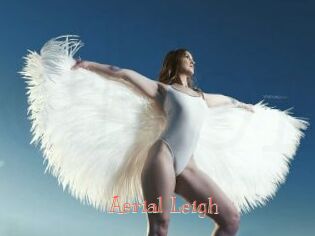 Aerial_Leigh Celebrix