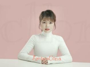 AminaGina
