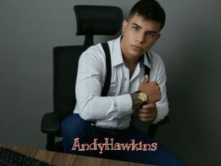 AndyHawkins