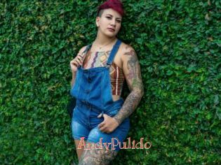 AndyPulido