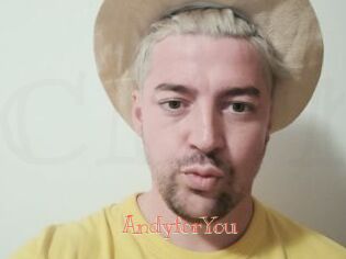 AndyforYou