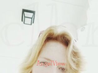 AngelView