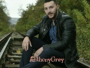 Anthony_Grey Celebrix