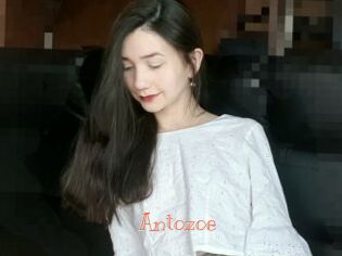 Antozoe