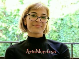 AriaMendosa