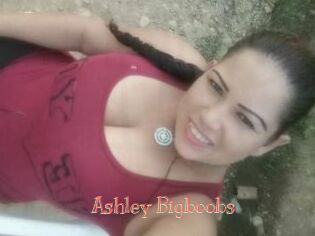 Ashley_Bigboobs