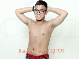 AsiancampusCRUSH Celebrix