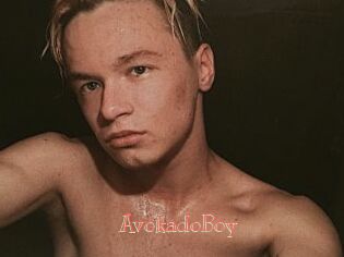 AvokadoBoy