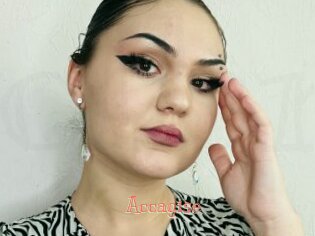 Accagise