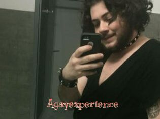 agayexperience Celebrix