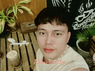 Aidenlandy