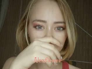 alexflower Celebrix