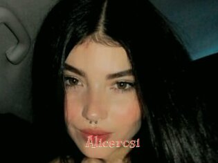 Alicerosi