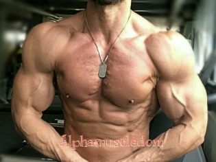 Alphamuscledom