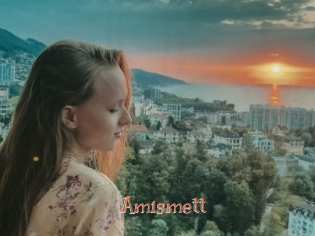 Amismett