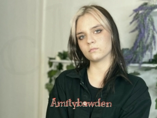 Amitybawden