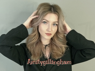 Amitygillingham