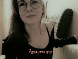 Anaemone
