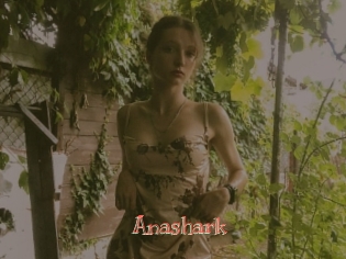 Anashark