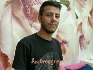 Andresgreys