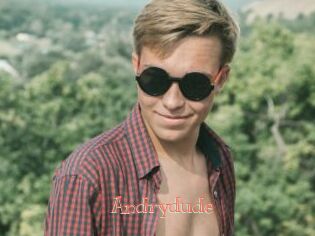 Andrydude