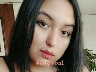 Andy_sout