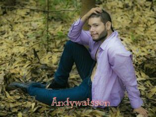 Andywatsson
