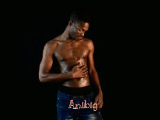 Anibig