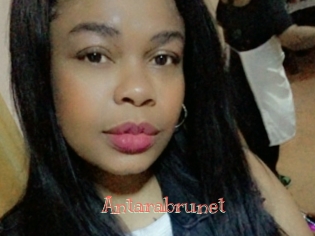Antarabrunet