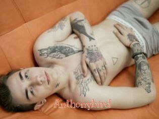 Anthonybird