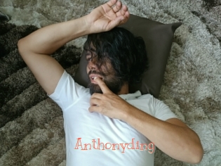 Anthonyding