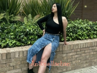 Antonellachan
