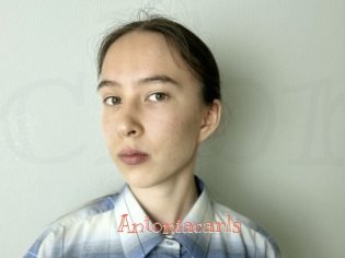 antoniacarls Celebrix