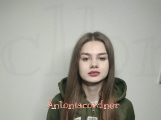 Antoniacordner