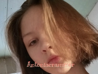 Antoniacrammer