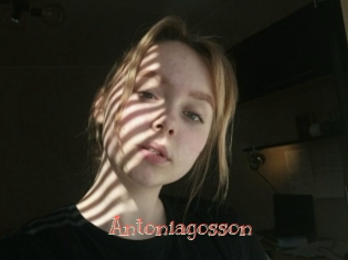 Antoniagosson