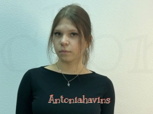 Antoniahavins