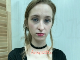 Aragoffin