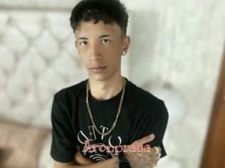 Aronpraga
