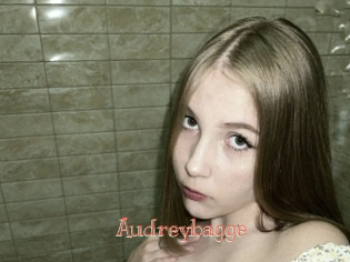 Audreybagge