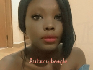 Autumnbeagle