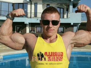 BULLMASS