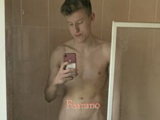 Bammo