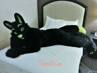 BaniBun