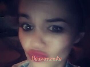 Beavermate